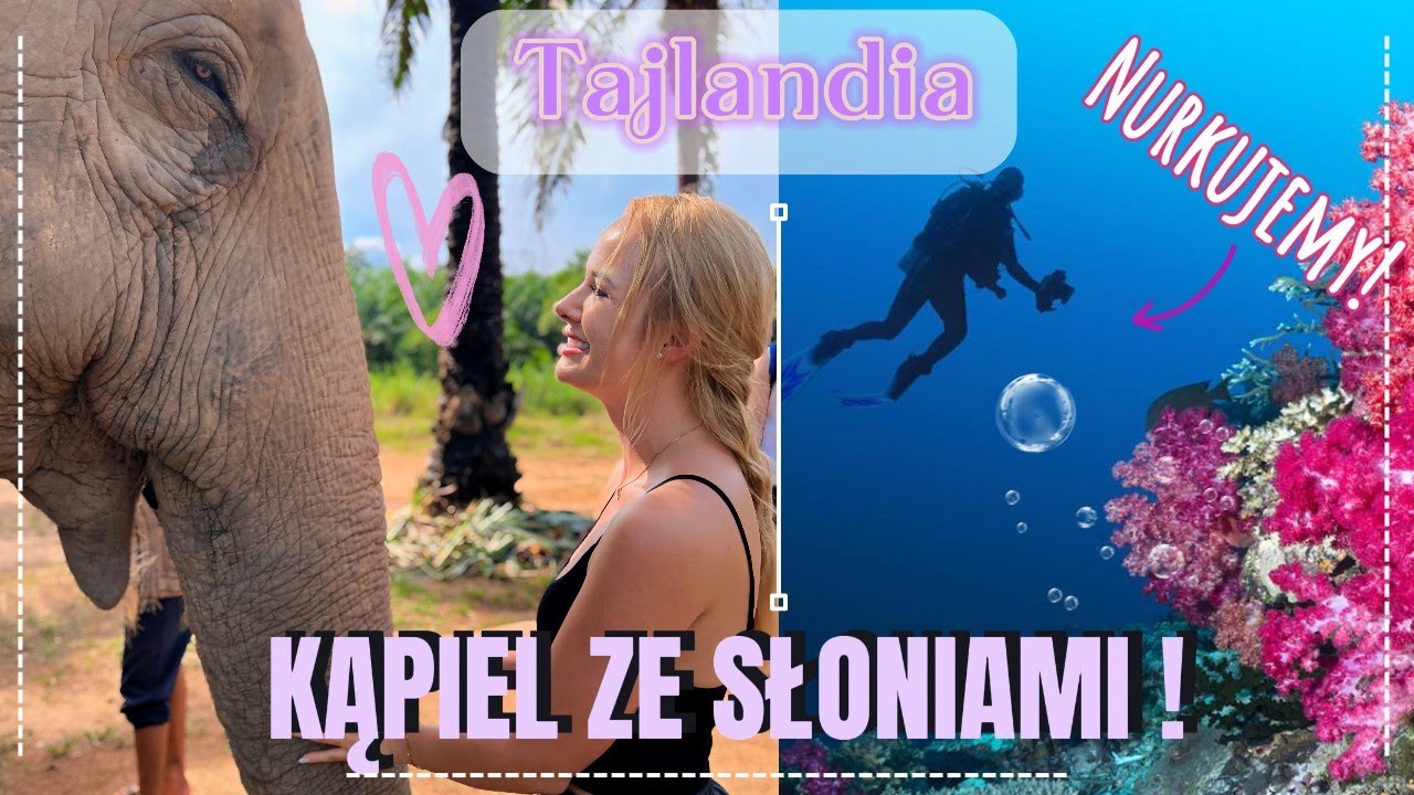 Sanktuarium słoni Tajlandia || niezapomniane przeżycie ||nurkowanie || raj na ziemi || kąpiel ze 🐘🐘🐘