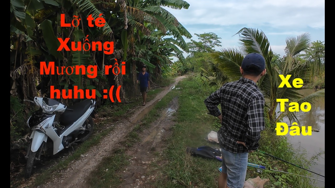Bị ngã xe xuống mương khi đi câu cá và cái kết ! Hài hước Thien vlog