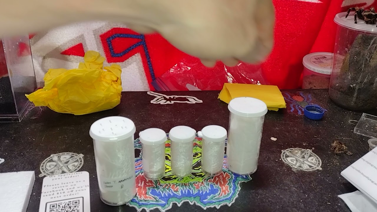 Spider Shoppe unboxing