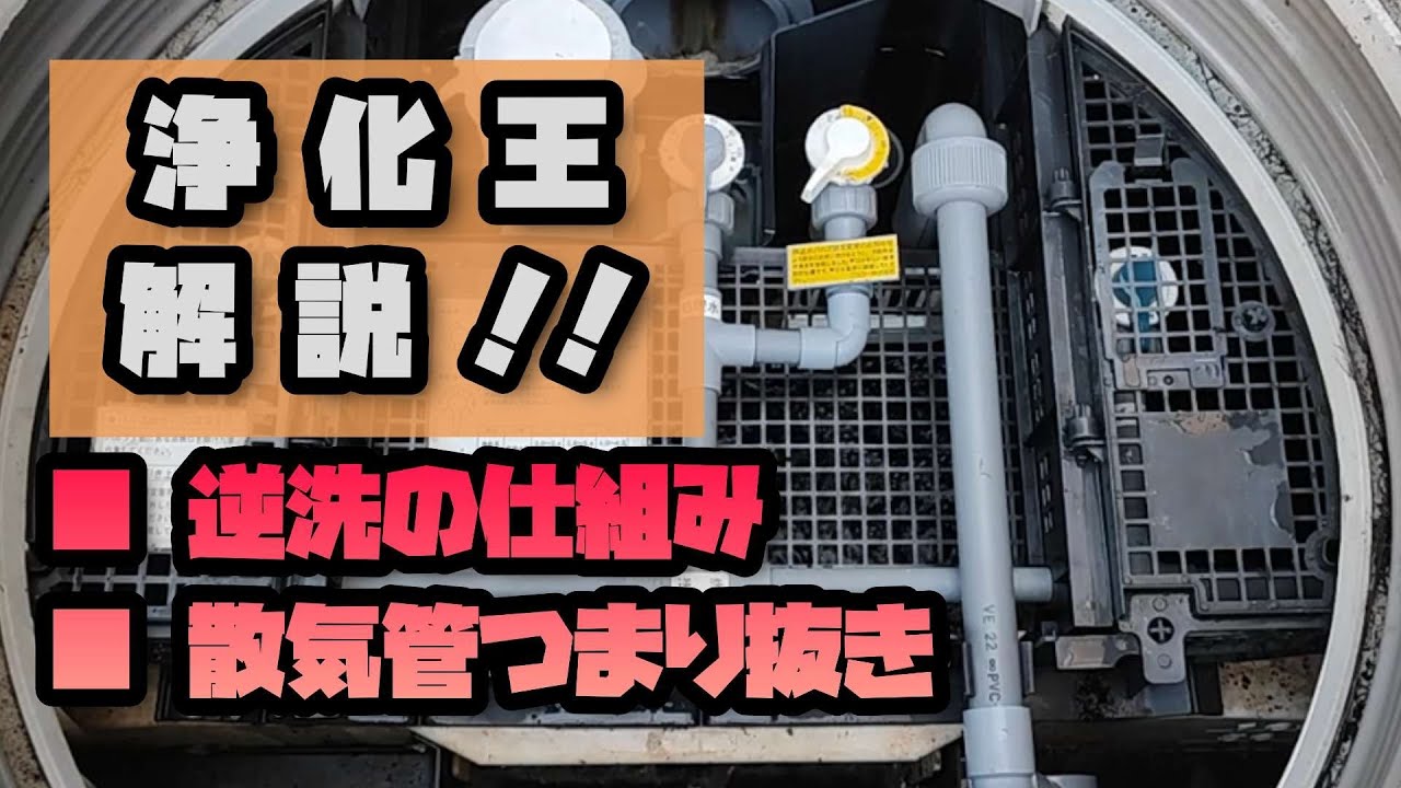 【浄化王】逆洗の仕組み＆散気管詰まり抜き解説！！！
