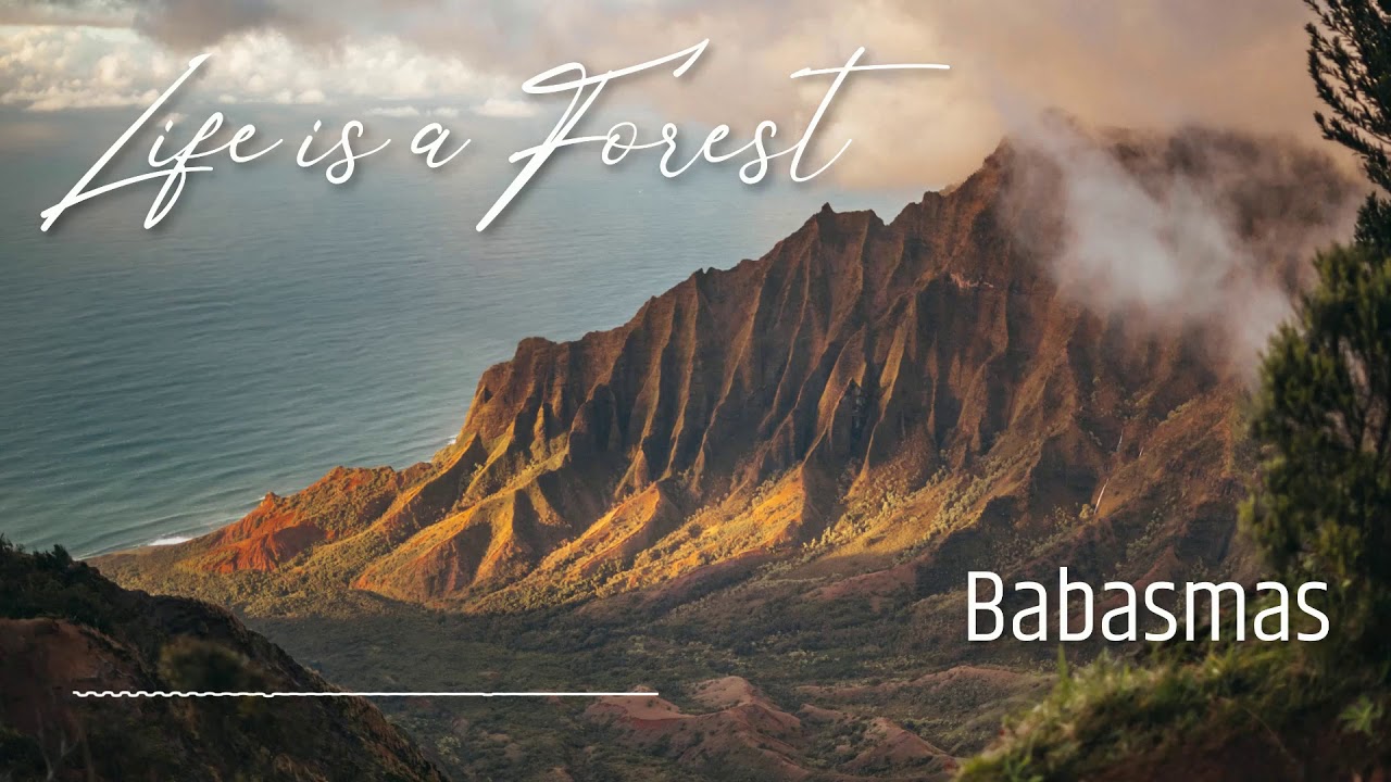 Babasmas  - Life is a Forest [EP] [ROYALTY FREE MUSIC]