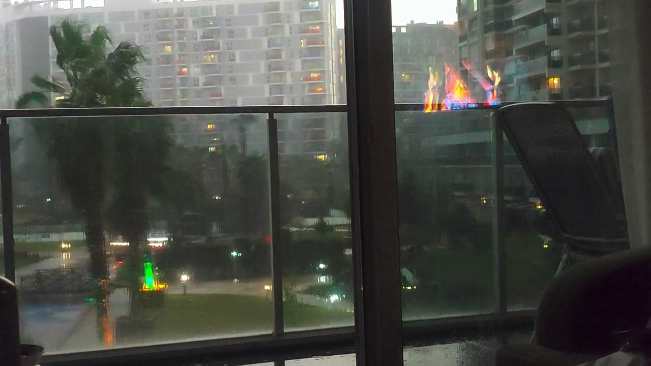 #shortsvideo #relaxingshorts #rain #rainyday #wind#relaxing #rainsounds #asmrsounds #asmrvideo 