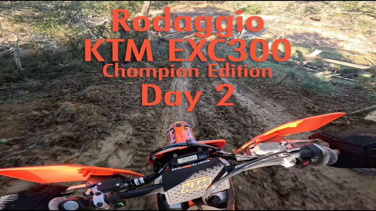 Rodaggio KTM EXC 300 Champion Edition - Day 2 - Enduro POV 8 dicembre