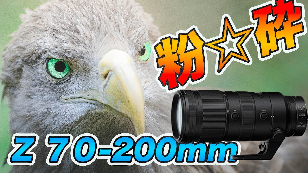 【至極の銘玉】Nikkor Z 70-200mm F2.8を作例付きでレビューします【後編】~大三元望遠レンズの作例~