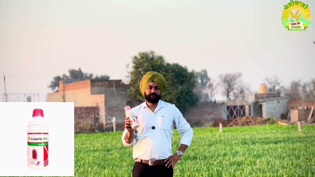 calaris xtra ਕਿਸਾਨ ਵੀਰੋ ਇਕ ਸਪ੍ਰੇਹ ਕਰਕੇ ਬੇਫਿਕਰ ਹੋਜੋ 