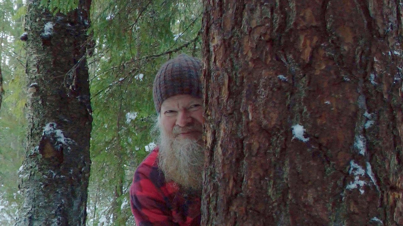 Metsätontun matkassa - Osa 3: Talvipäivänseisauksen kynnyksellä