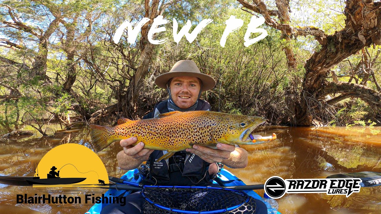 Big Brown Trout | South west Western Australia | Trout fishing