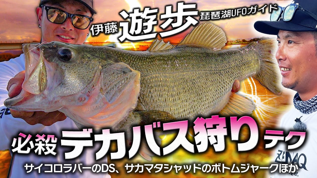 UFOガイド伊藤遊歩「必殺デカバス狩りテク」