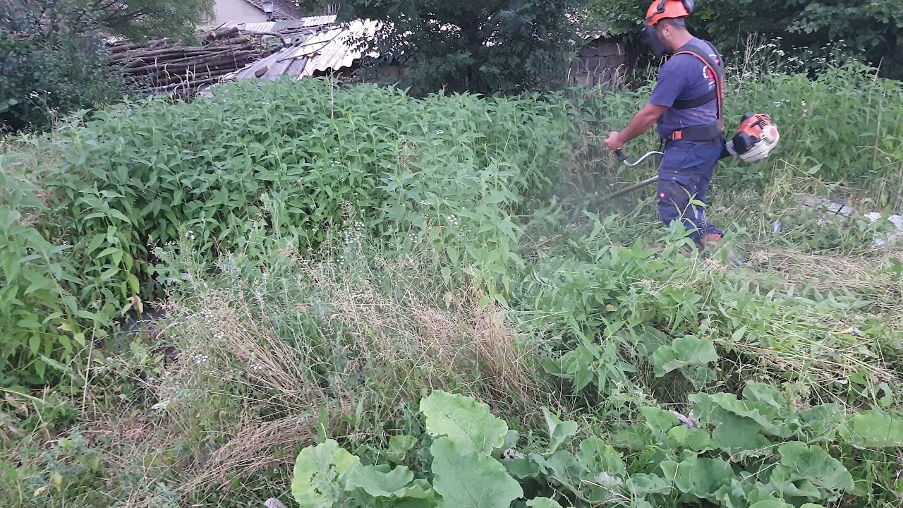 Stihl fs560 C - cutting large grass with the best mower