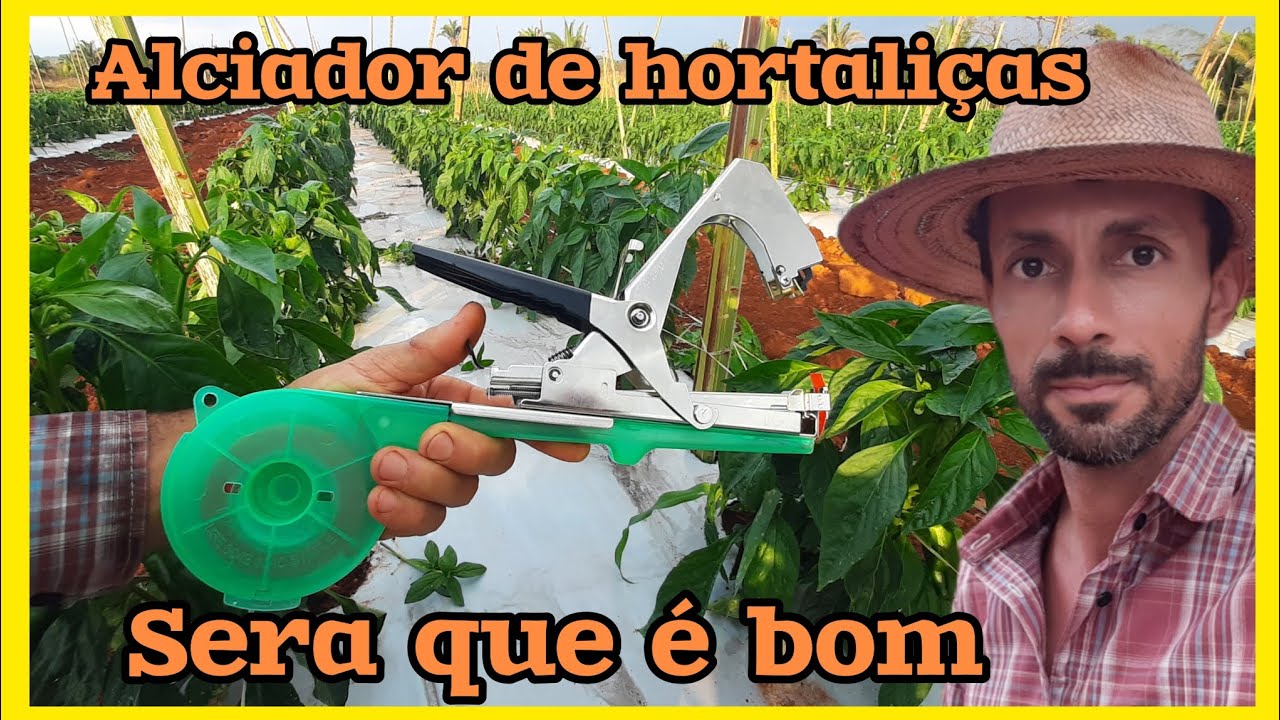 Teste do alceador grampeador de hortaliças, para tutoramento de tomate, pepino, pimentão, uva etc.
