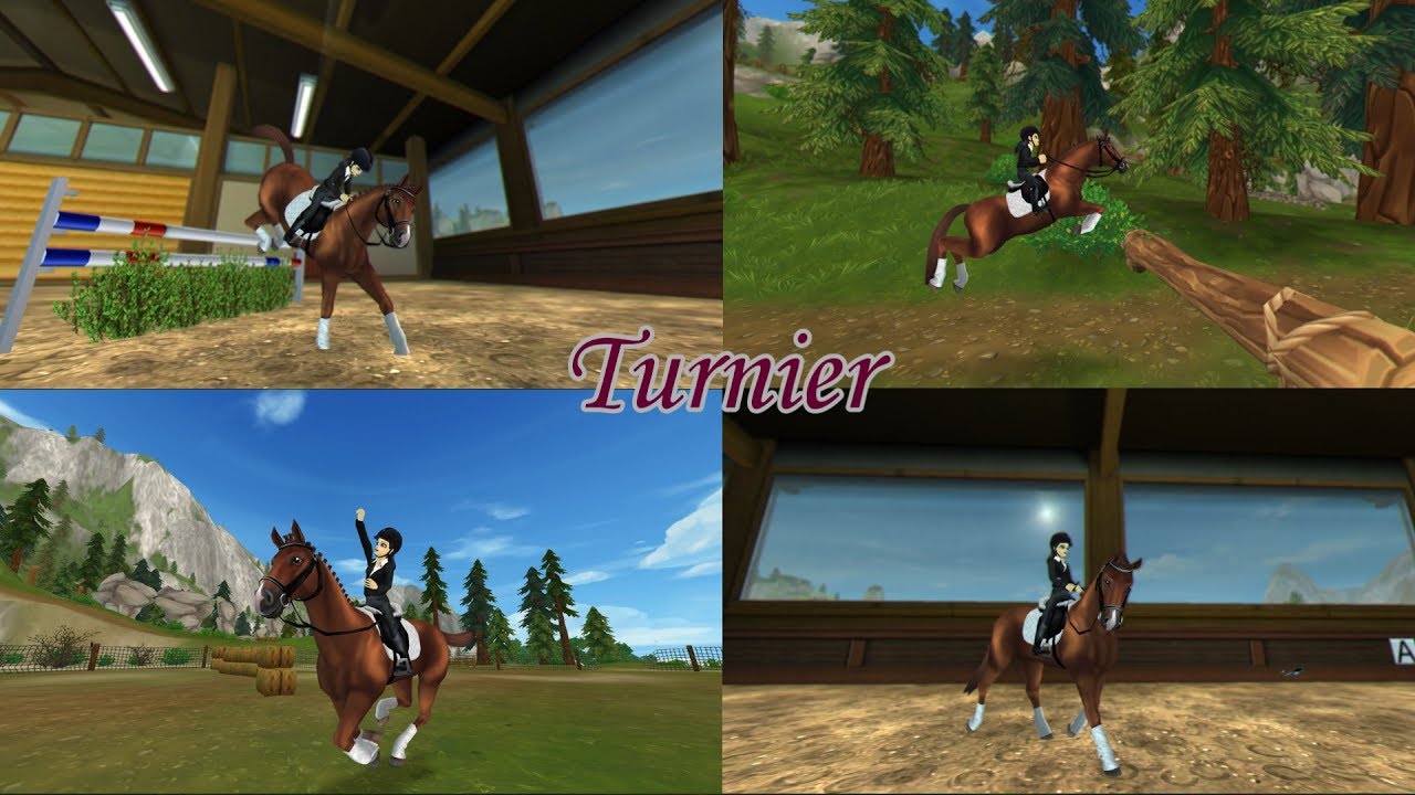 Turnier FMA mit Flamewings - SSO