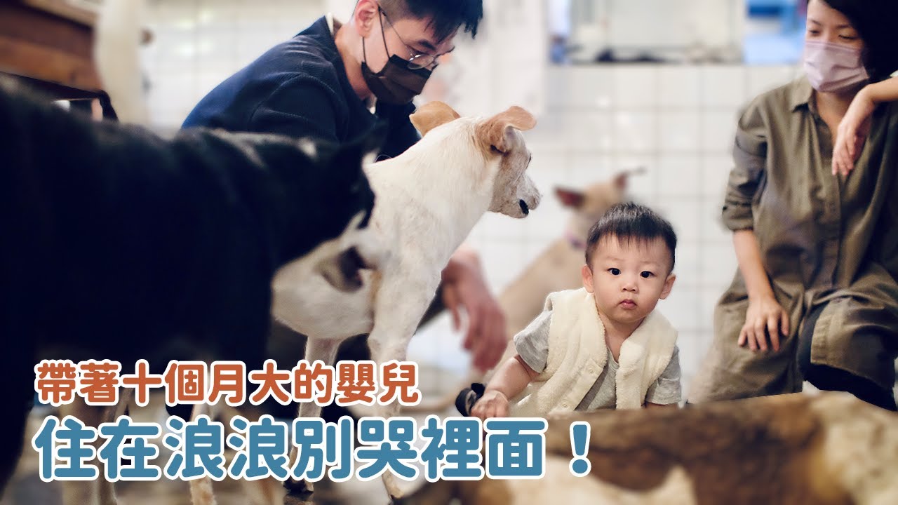 EP2. 帶著十個月大的嬰兒住在浪浪別哭裡面！｜毛孩小孩一起養