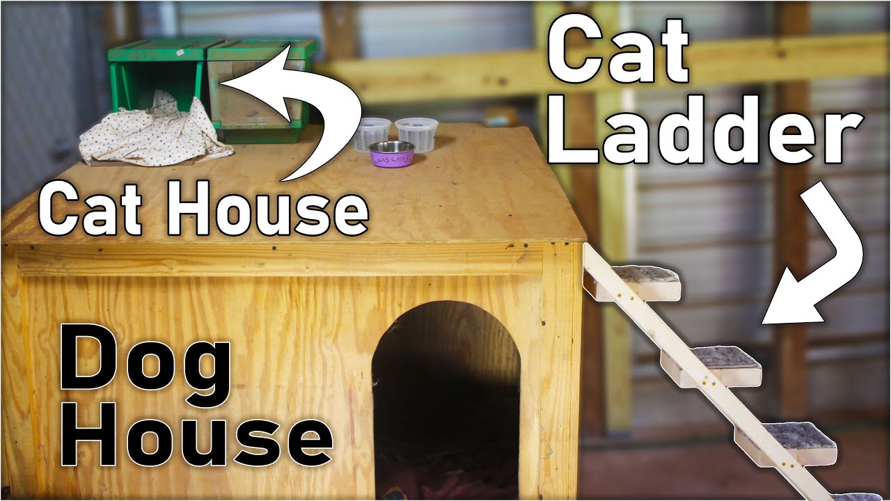 Build a Simple Cat Ladder for your Furry Friends