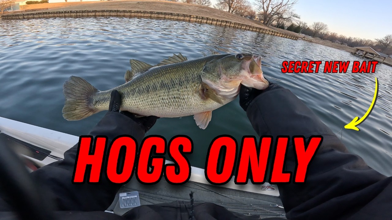 This Technique Might be The Key to Big Winter Bass