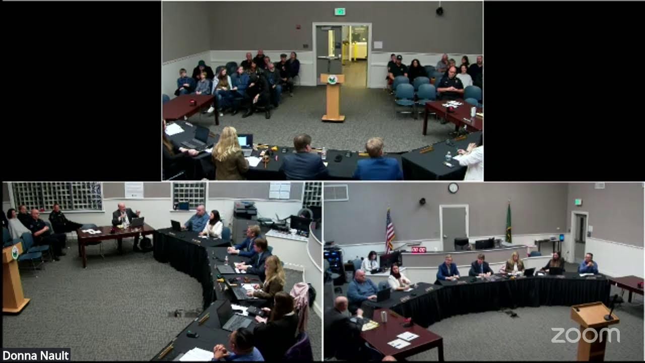 City Council Zoom Meeting