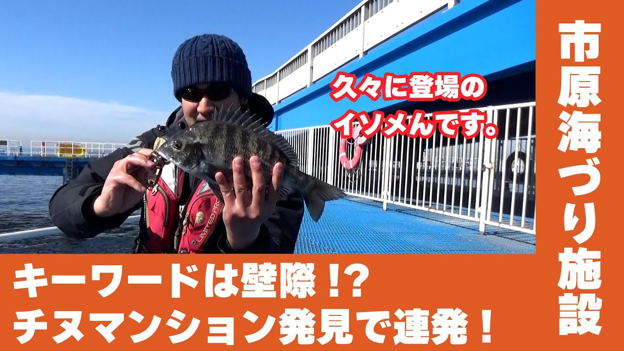 【市原海釣り公園】キーワードは壁際！？チヌマンション発見で連発！