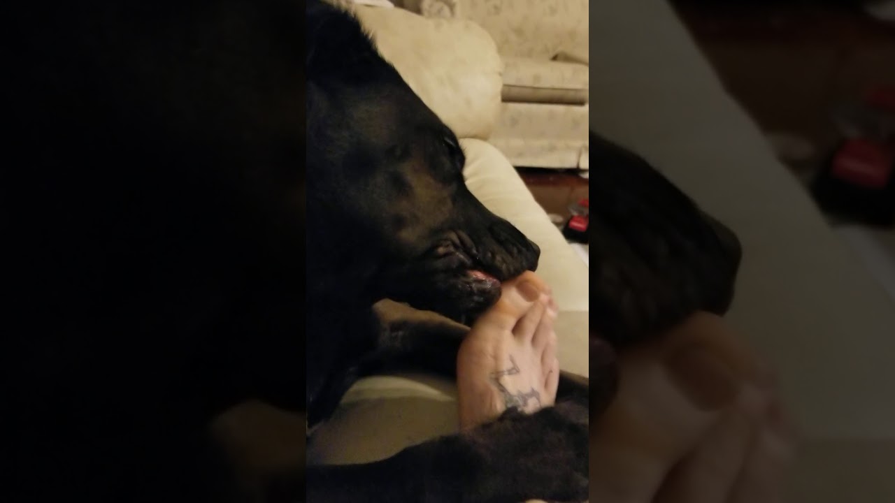 Right foot