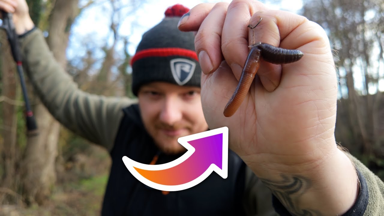 Can I Catch A Perch On Lob Worms In Winter ??