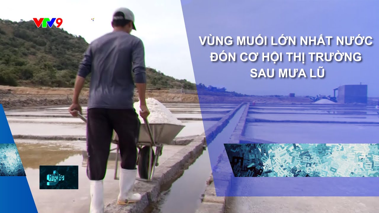 VÙNG MUỐI LỚN NHẤT NƯỚC ĐÓN CƠ HỘI THỊ TRƯỜNG SAU MƯA LŨ