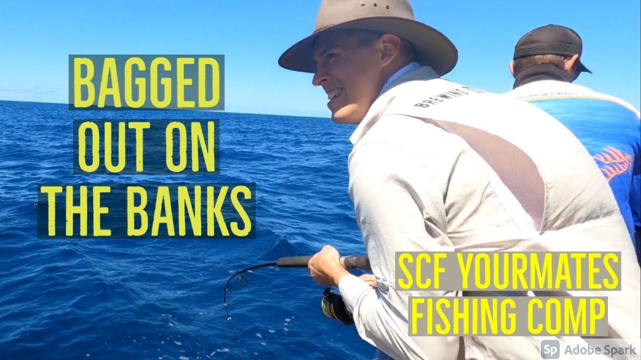 THE CONTINENTAL SHELF - SUNSHINE COAST FISHING SCF COMP - YourMates Brewing Co