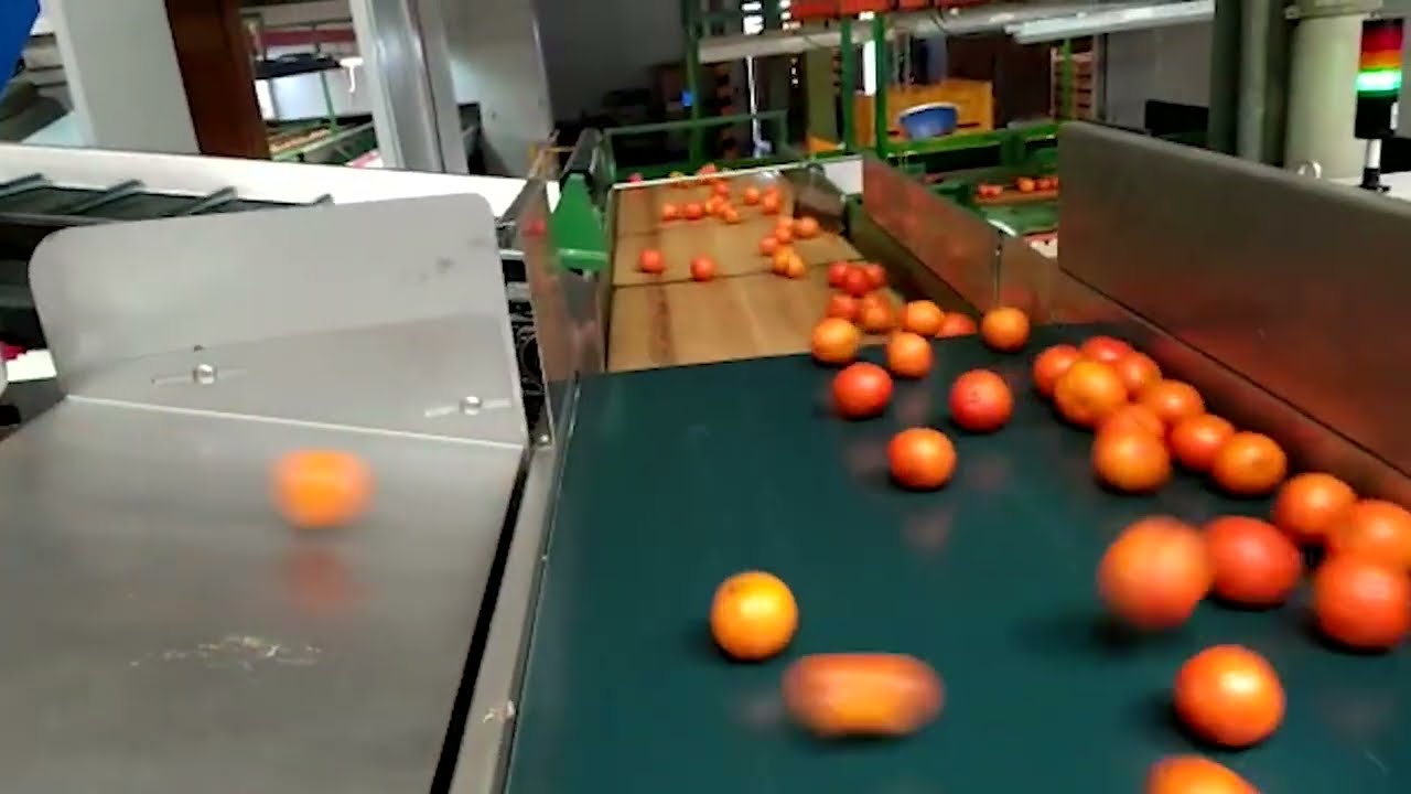 Multiscan S90 Citrus