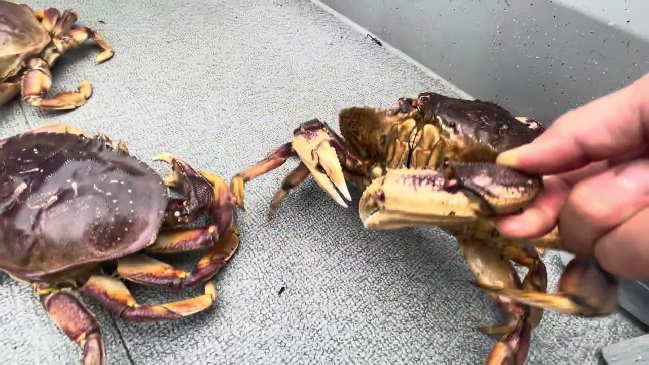 Crab boil anyone?!