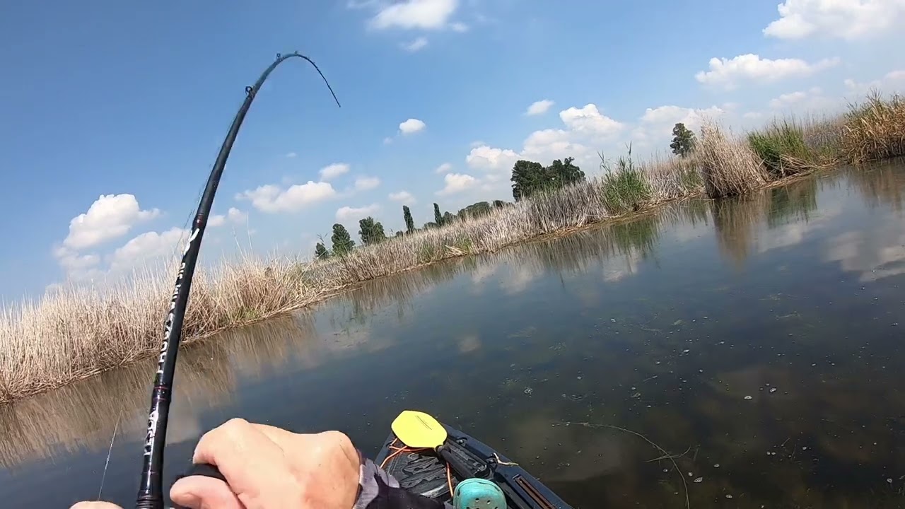 Bass fishing with Z-Man Goat Toad. Klerkskraal 19 January 2025