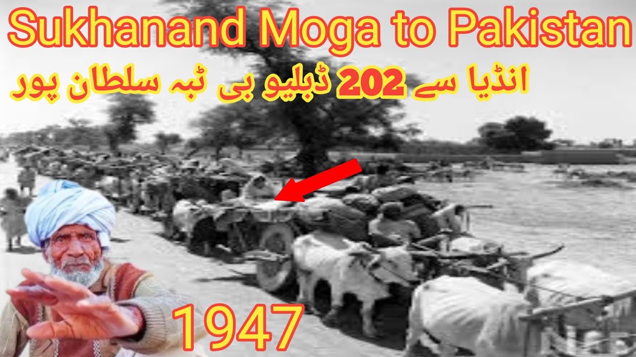 partition story punjab 1947 || Sukhanand moga mansa Moosa  to 202/WB Tibba Sultanpur || Punjabi192