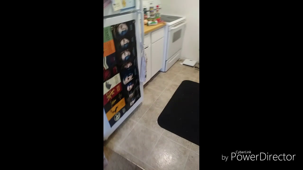 Kc's kitchen #8