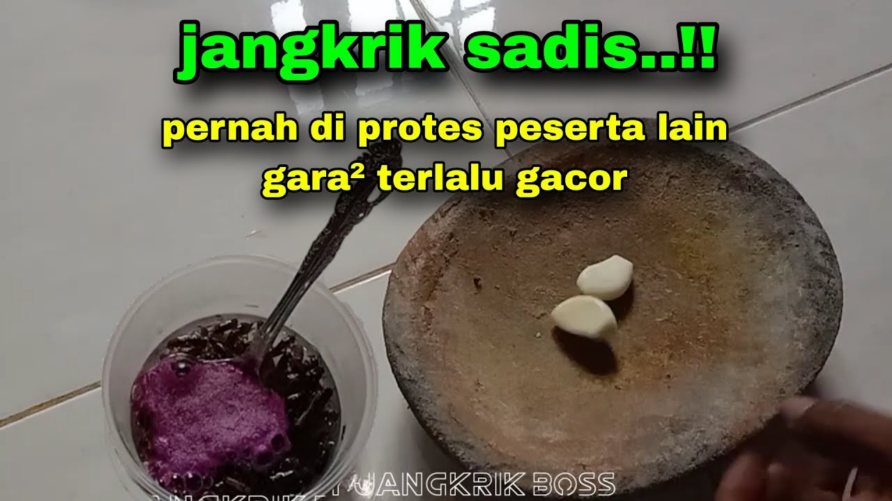 Racikan umpan lele paling gacor malam hari #29