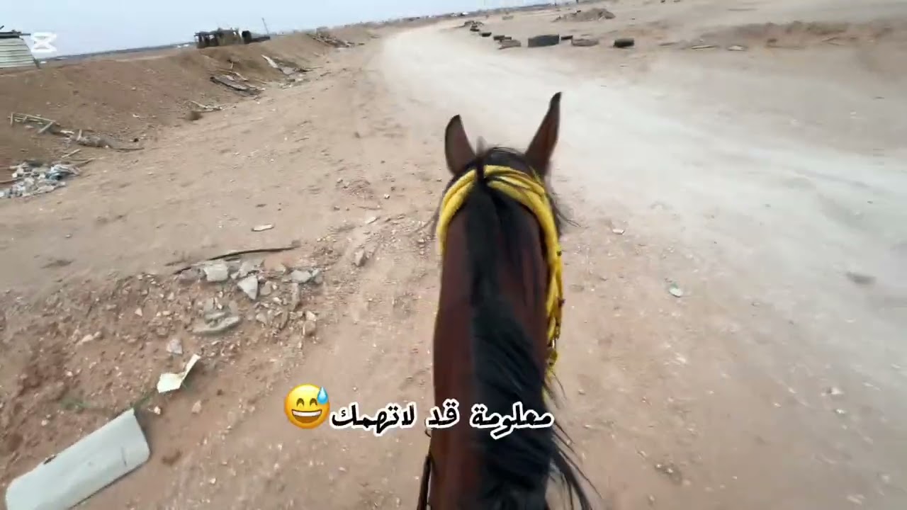 سرجة خفافية مع العسيفة بهالجو الزين 😍🎠🌧️