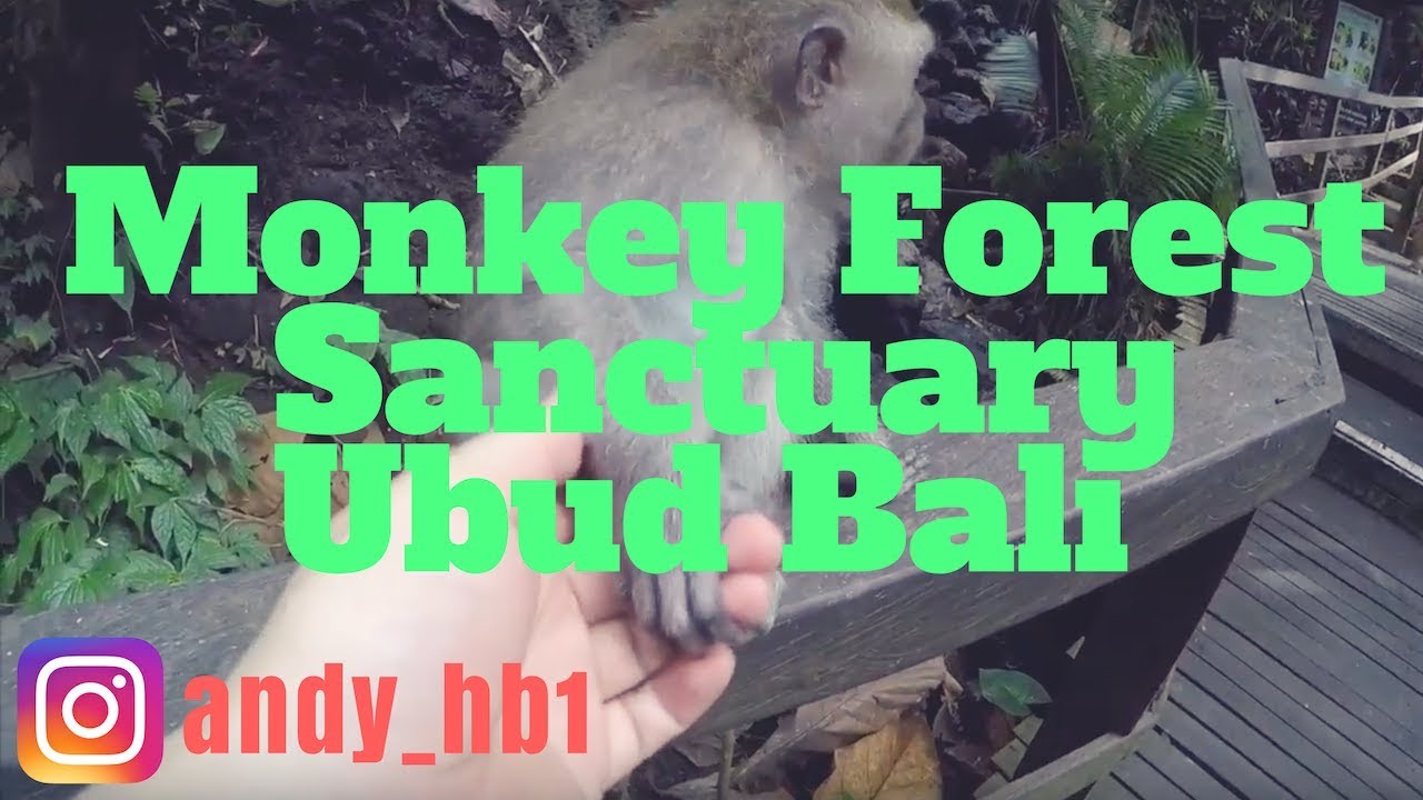 Monkey Forest Sanctuary / Ubud / Indonesia / GoPro Hero 4
