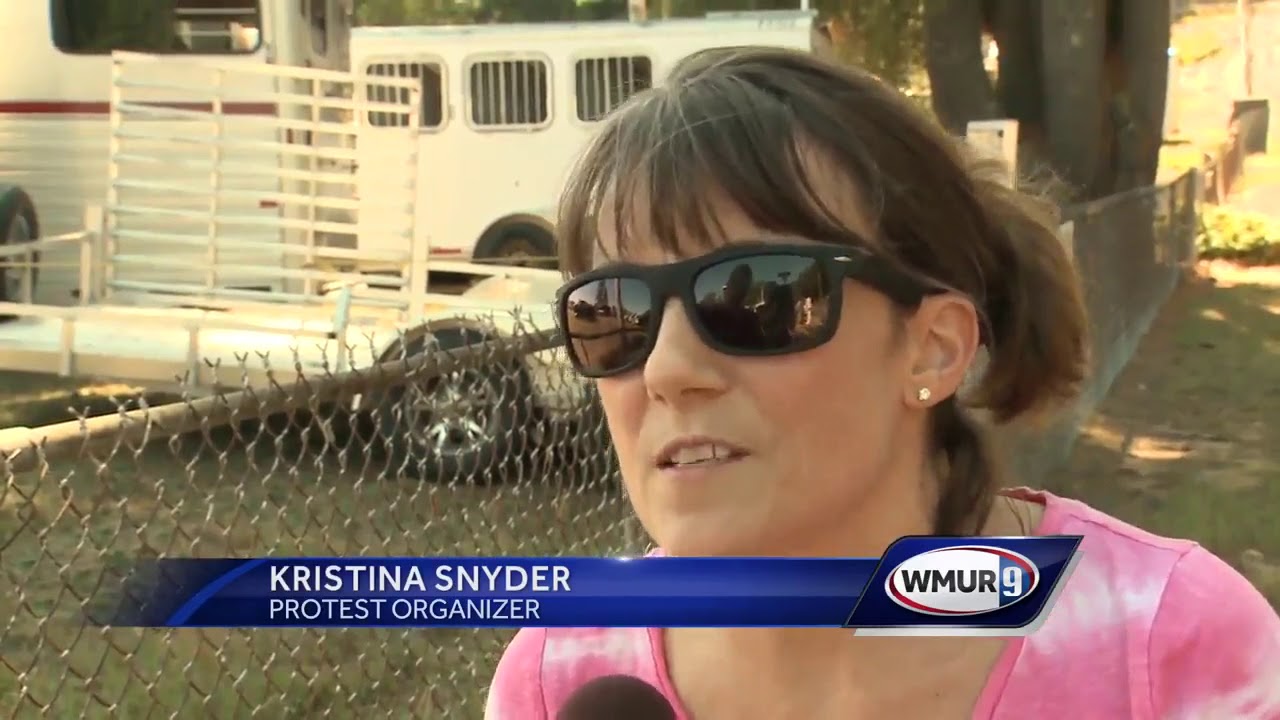 Pig scramble draws protests at Deerfield Fair