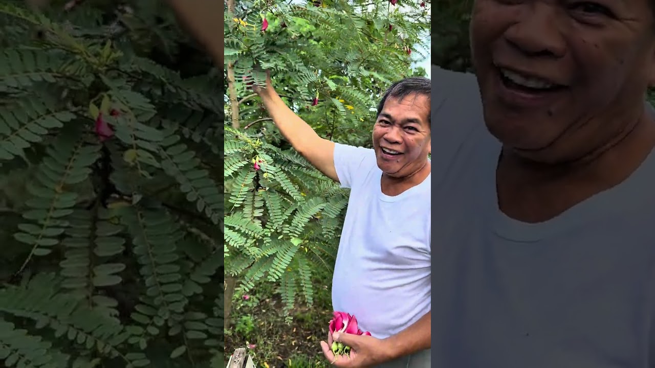 Namitas muli tayo ng katuray para gawin natin muling ensalada.