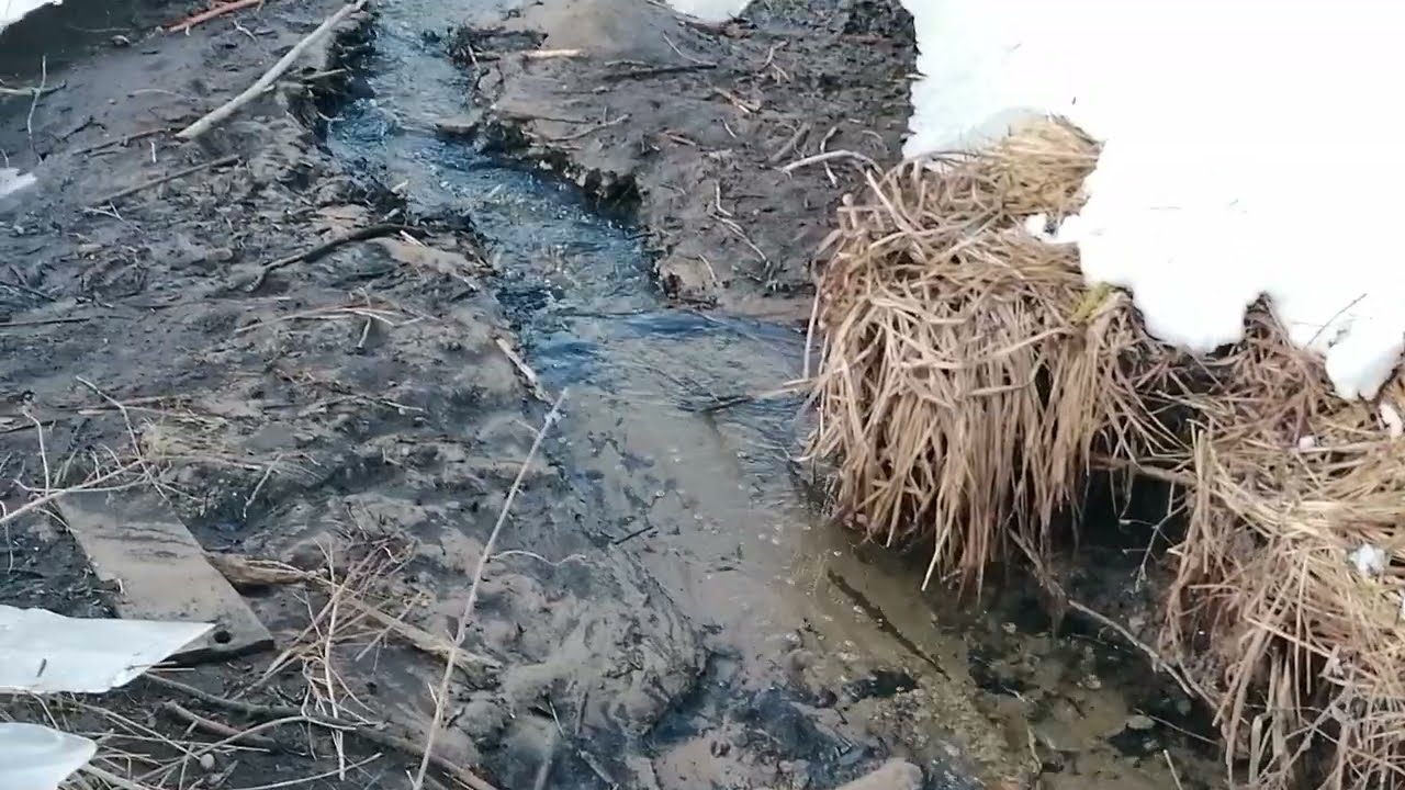 Gyvenimas šalia Kruojos