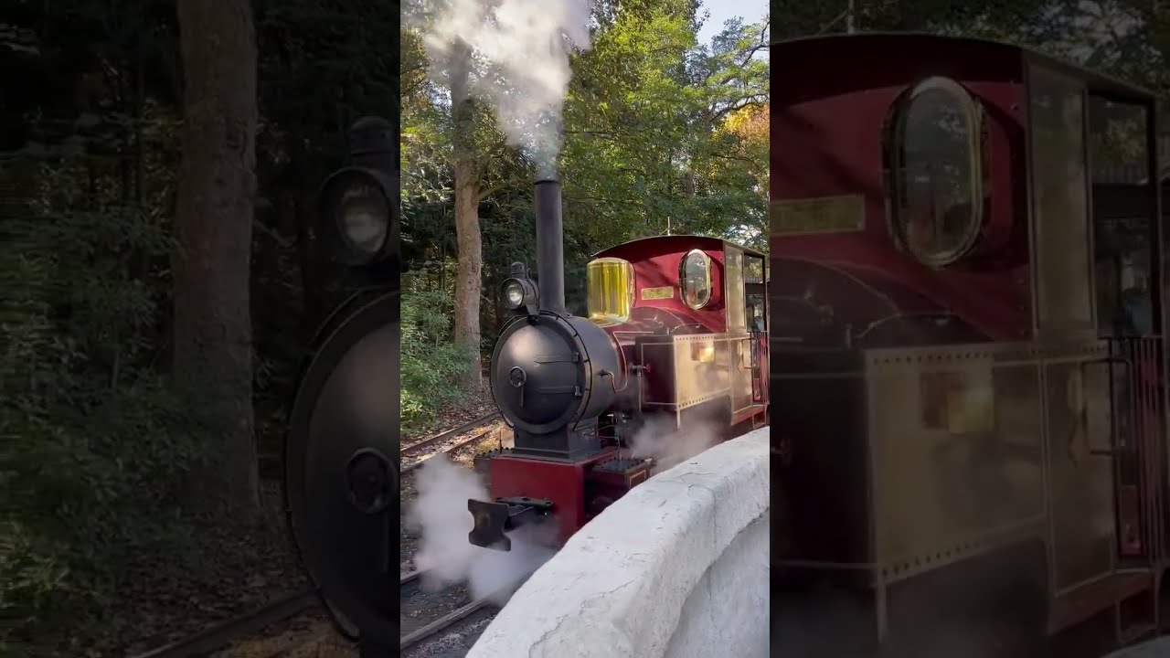 Stoomtrein Trijntje weer terug in de Efteling (Twitter: @menno94)