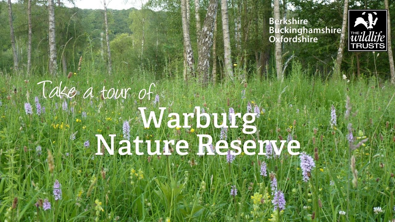 Take a tour of Warburg Nature Reserve