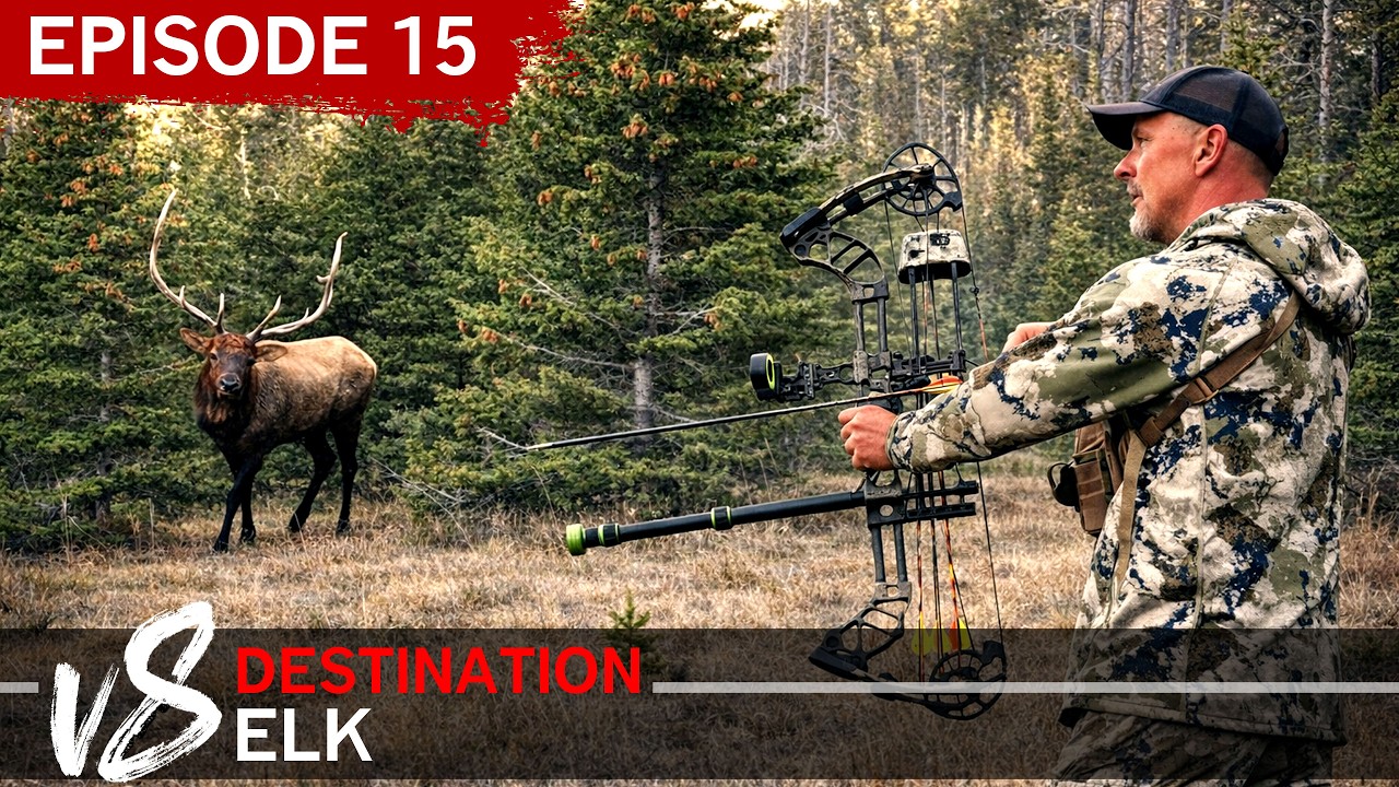 The ODDS Are IN OUR FAVOR - Episode 15: DEV8 (Destination Elk V8)