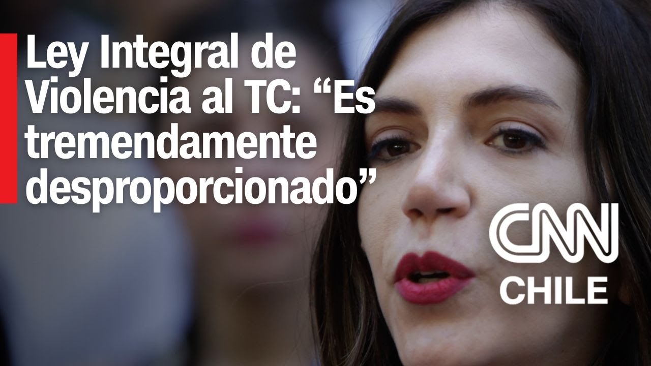 Bárbara Sepúlveda ante pugna por Ley Integral de Violencia en el TC