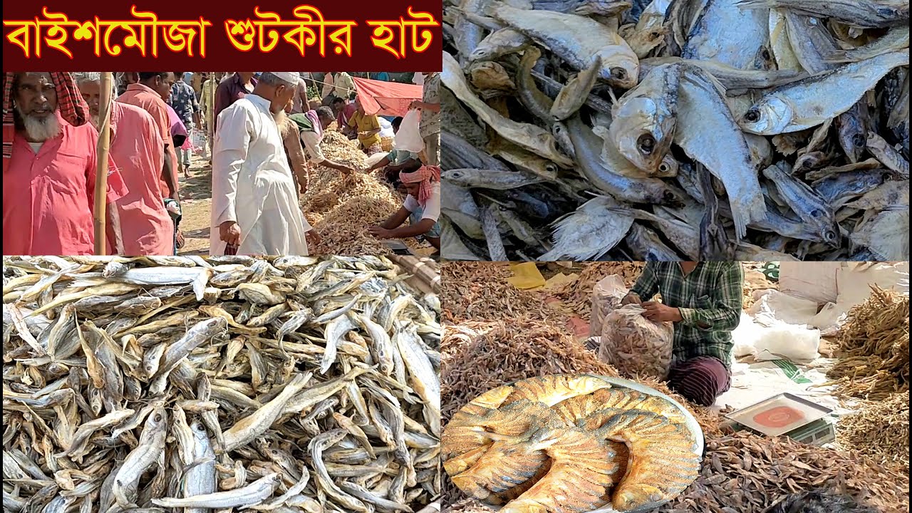 ব্রাহ্মনবাড়িয়ার  বিখ্যাত বাইশমৌজা অরগানিক শুটকীর হাট থেকে শুটকীর দাম জানুন@SafolloTv