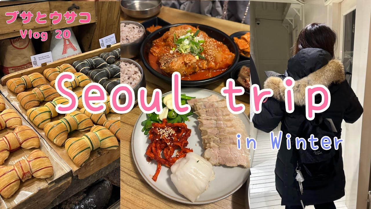 【韓国 vlog】2泊3日韓国旅行/40代女子旅/2人旅/かかった費用ほぼ全額公開/食い倒れ旅/安国/狎鴎亭/益善洞/江南/肌管理/