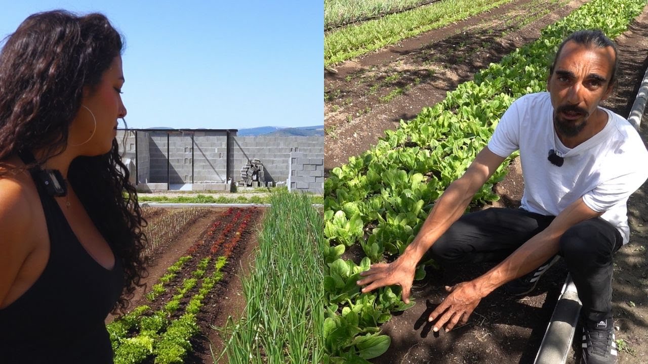Emprendiendo huerta comercial a tiempo parcial en el Valle de la Alegría