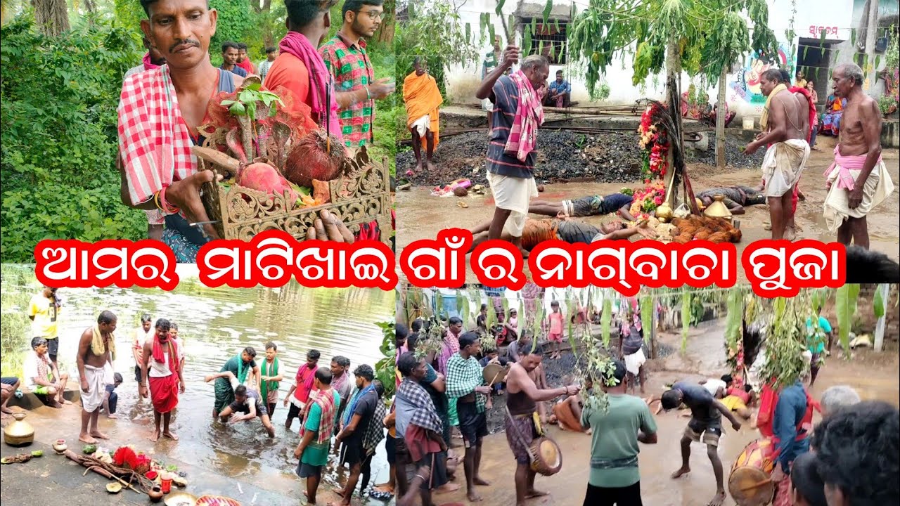 Nagbacha puja A unique fastival of Western Odisha #nagbachapuja #puja #rituals #festival