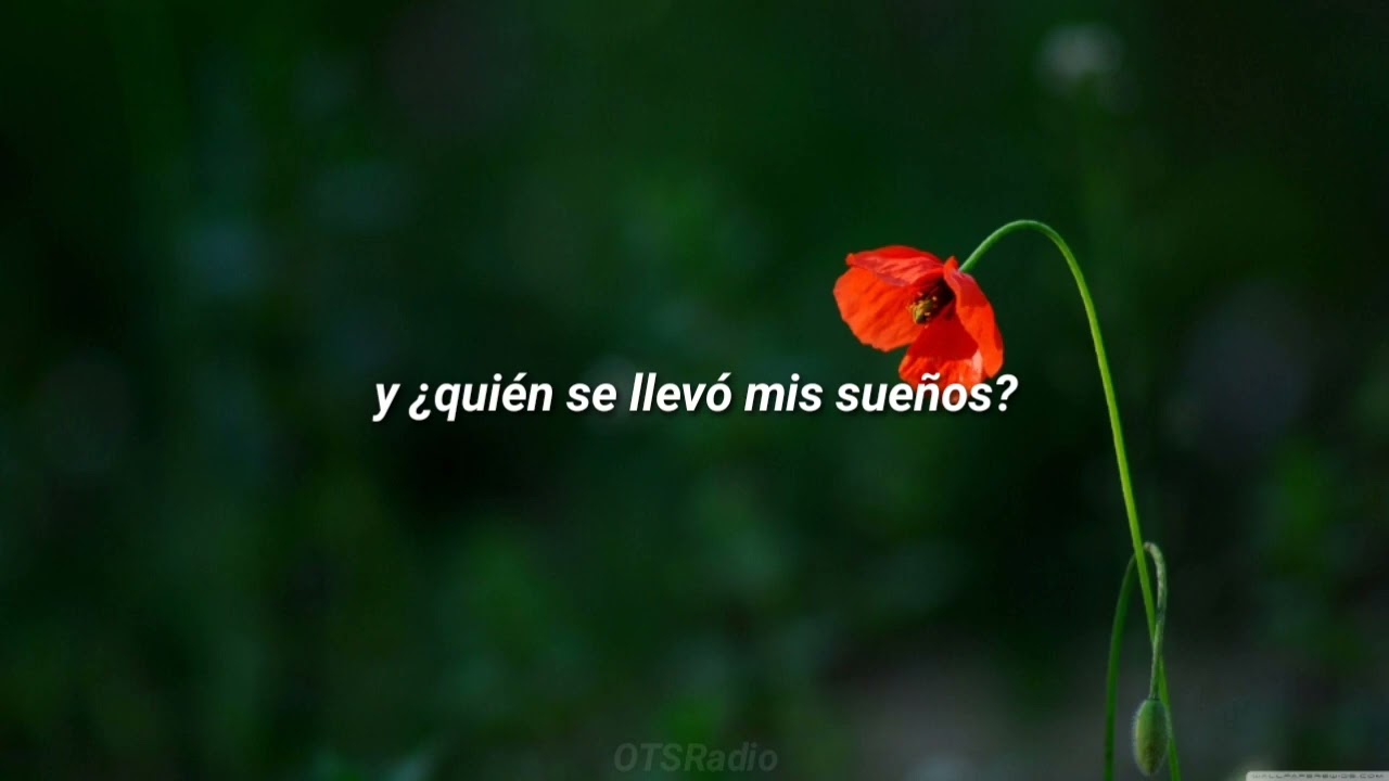 Un Pañuelo y una Flor - Homero//letra