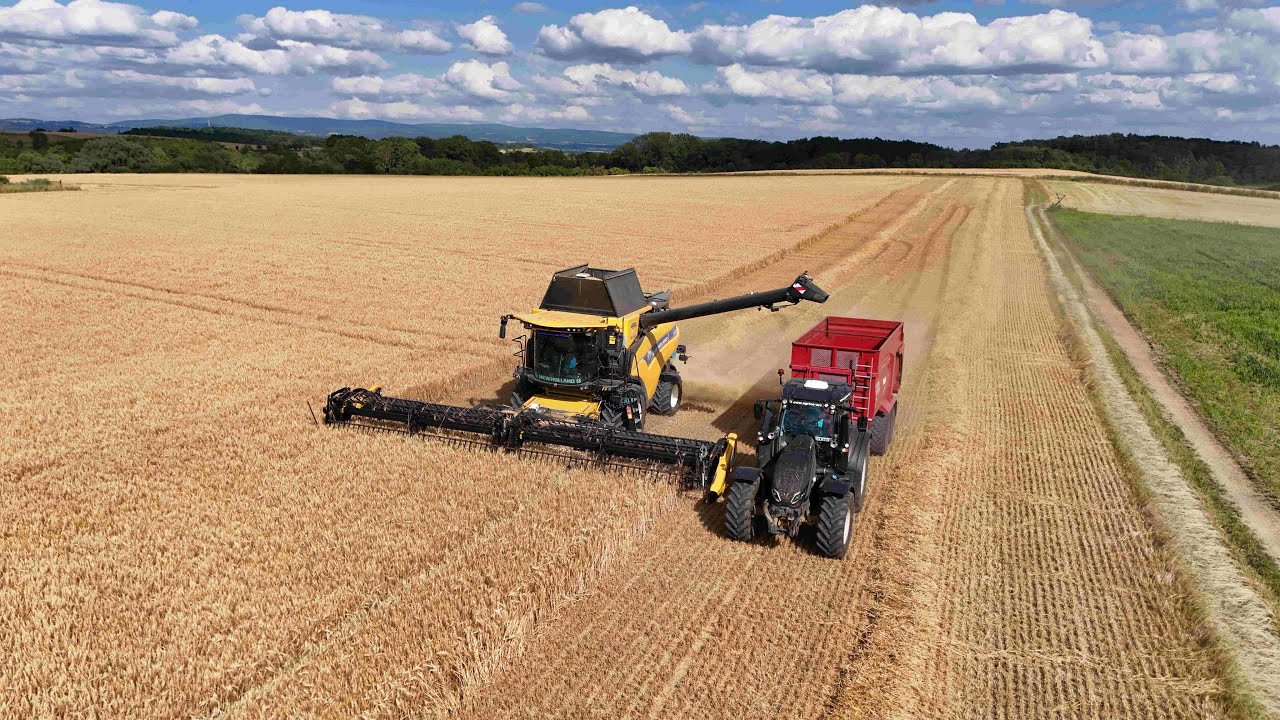 Žně 2025  Zepo Bohuslavice Fendt Ideal 9T - Demo , Newholand CR 9.90