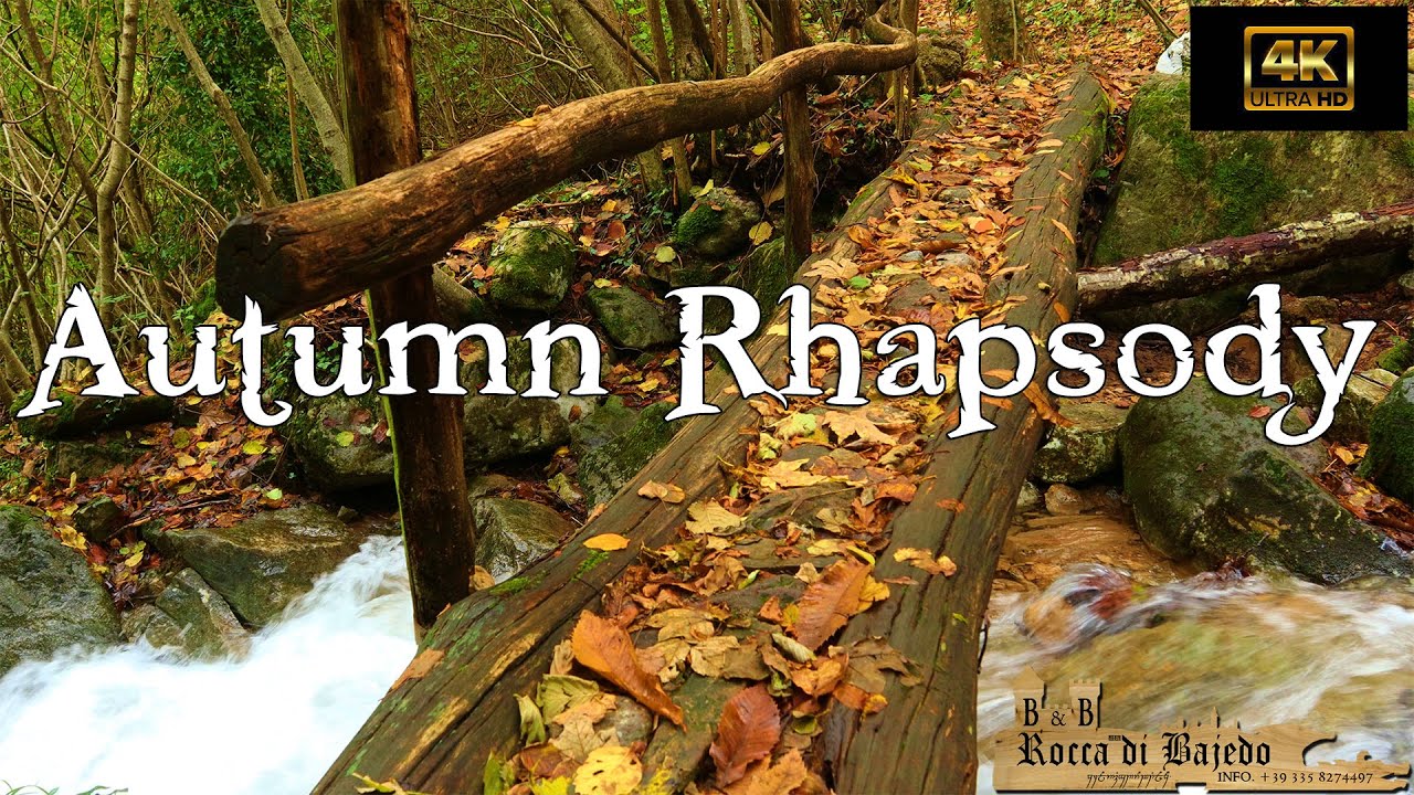 Autumn Rhapsody in 4k - 15 minutes of relaxing music