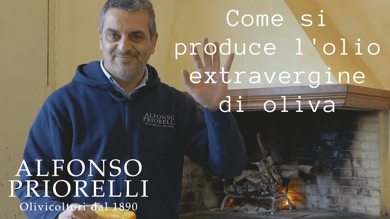Come si produce l'olio di oliva