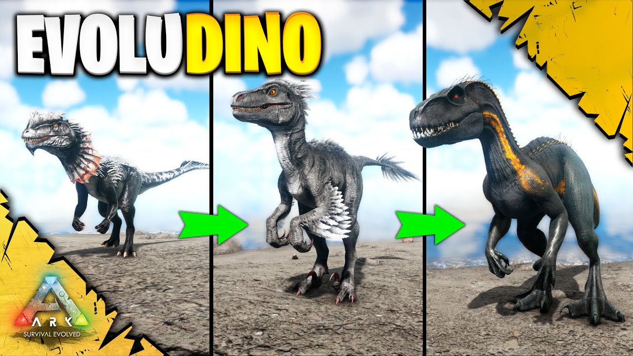 A EVOLUÇÃO DO INDORAPTOR | ARK SURVIVAL EVOLVED | EVOLUDINO