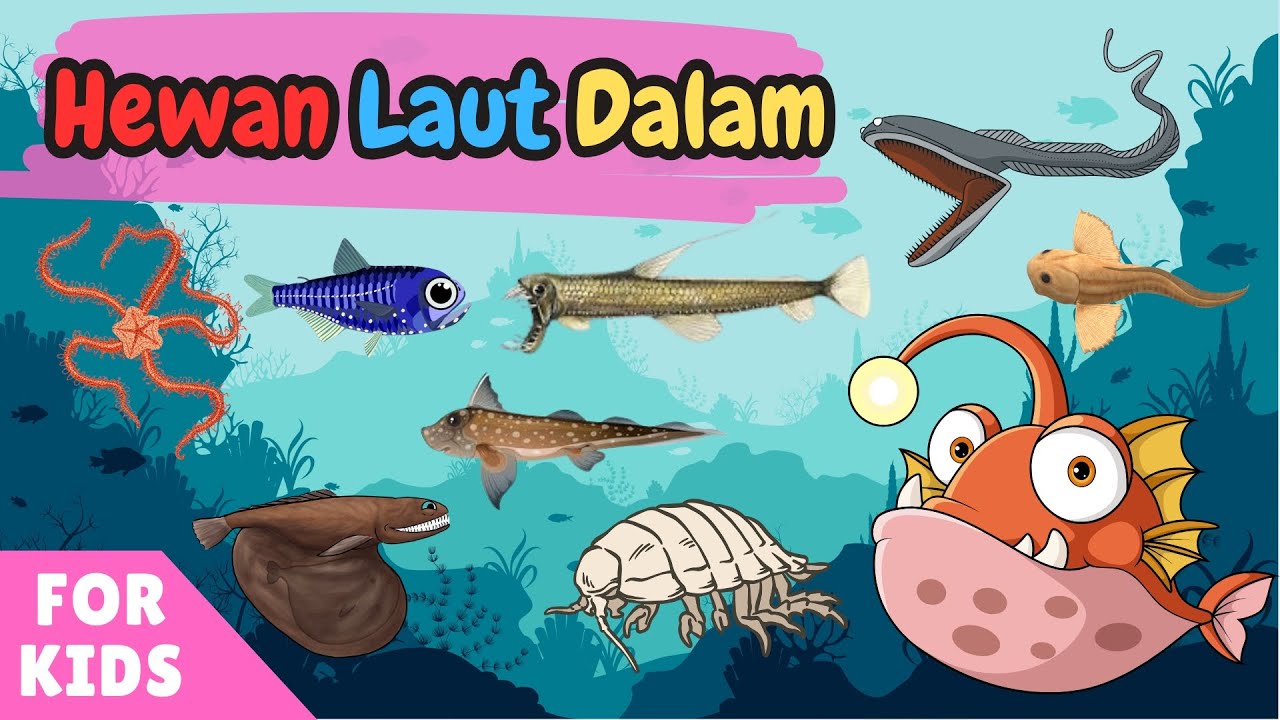 Belajar Hewan Laut Dalam untuk Anak | Hewan Laut Dalam untuk PAUD TK SD | Deep Sea Animals | For Kid