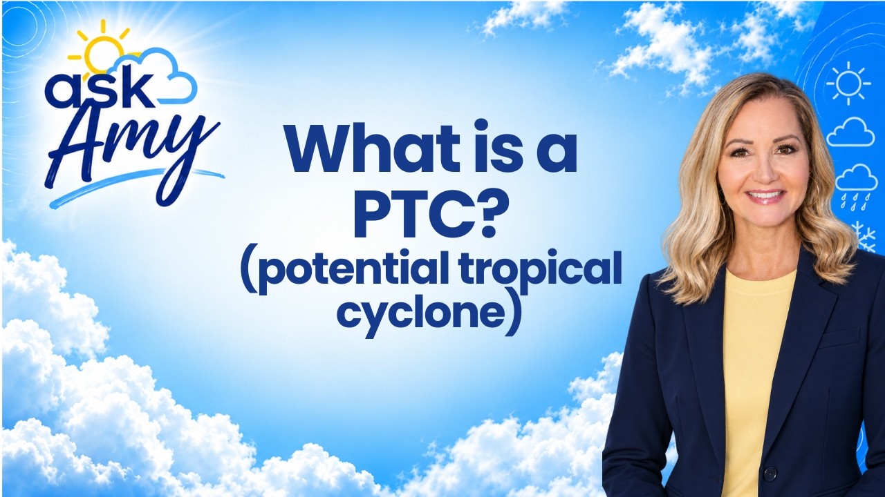 What is a PTC? (Potential Tropical Cyclone)